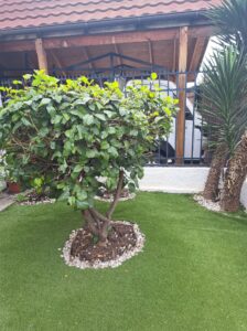 Jardín con pasto sintético en el patio de la casa en venta en Quilicura